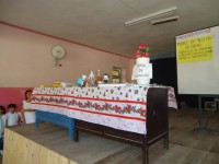 /album/fotogaleria-seccion-cultural/feria-4-jpg1/